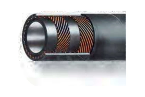 EGE 6