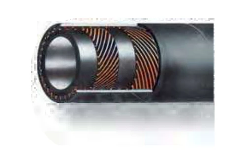 EGE 25